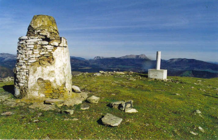 Tontorra