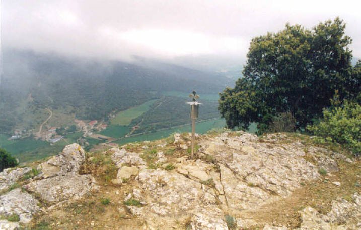 Tontorra