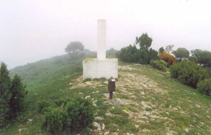 Tontorra