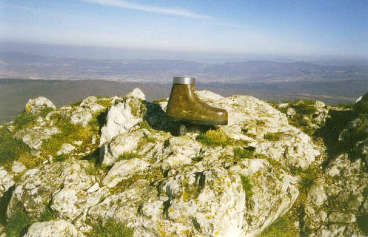 Buzoia