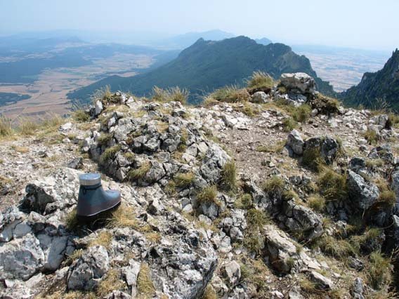 Tontorra