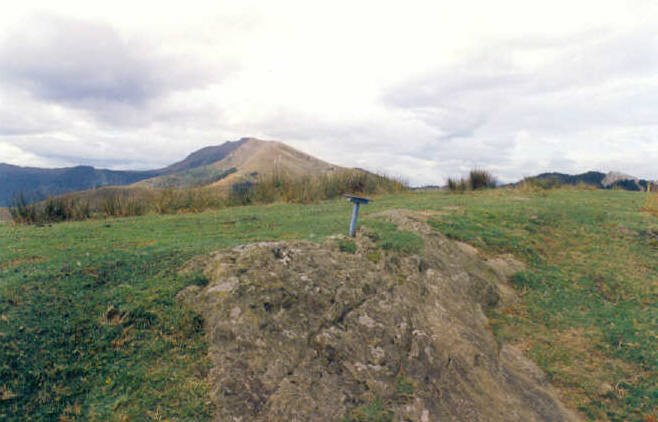 Tontorra