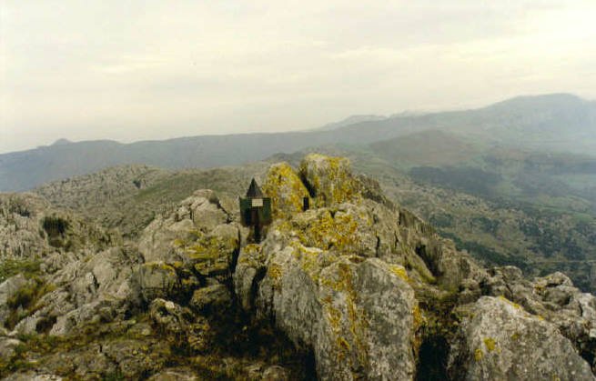 Tontorra