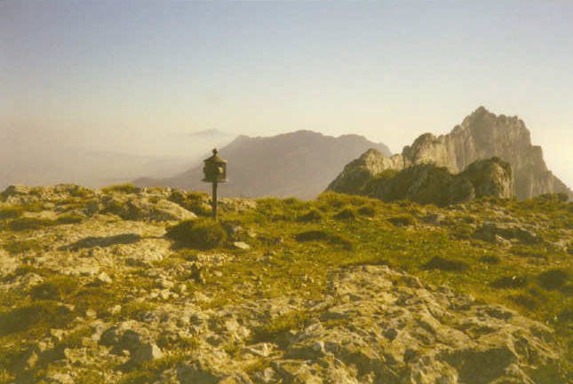 Tontorra