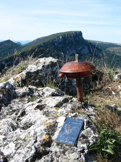 Buzoia