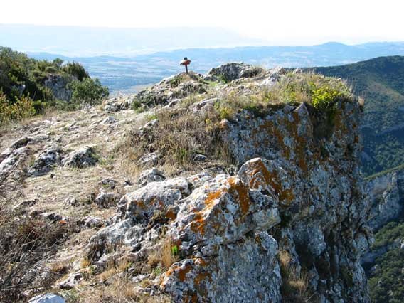Tontorra