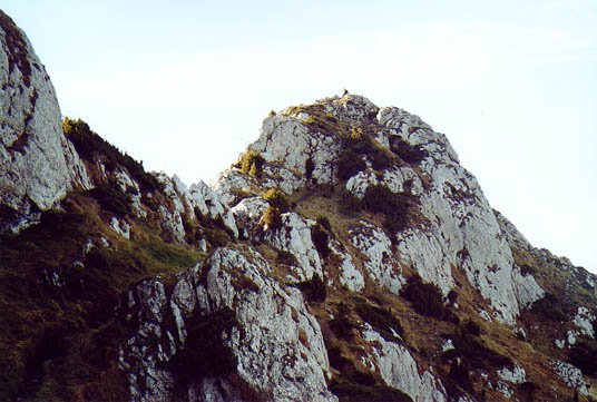 Tontorrerako azken metroak