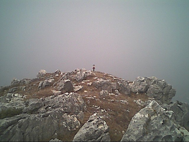 Cima