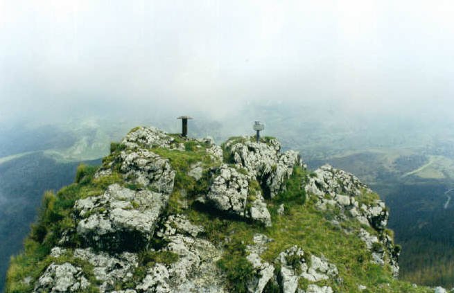 Tontorra