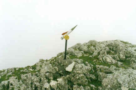 Tontorra