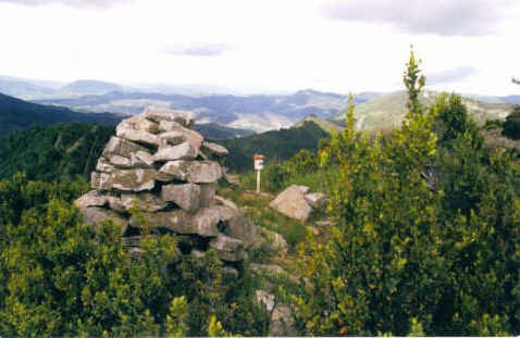 Tontorra