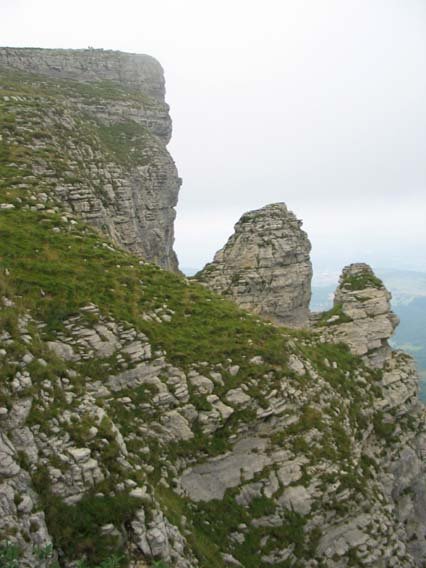 Tontorra ekialdetik