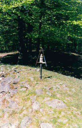 Tontorra
