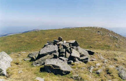 Tontorra