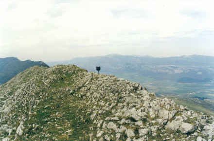 Tontorra