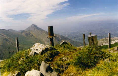 Tontorra