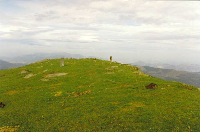 Tontorra