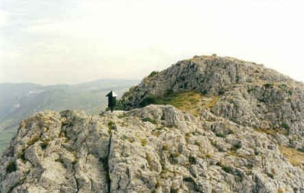 Tontorra