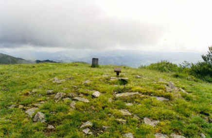 Tontorra