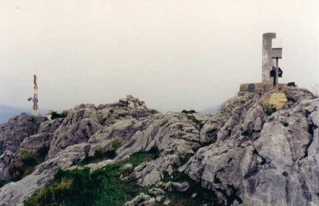 Tontorra