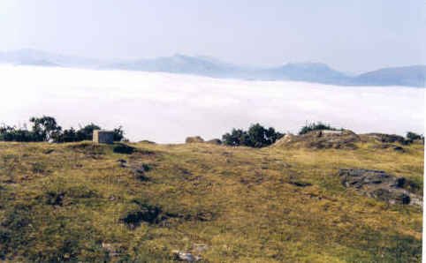 Tontorra