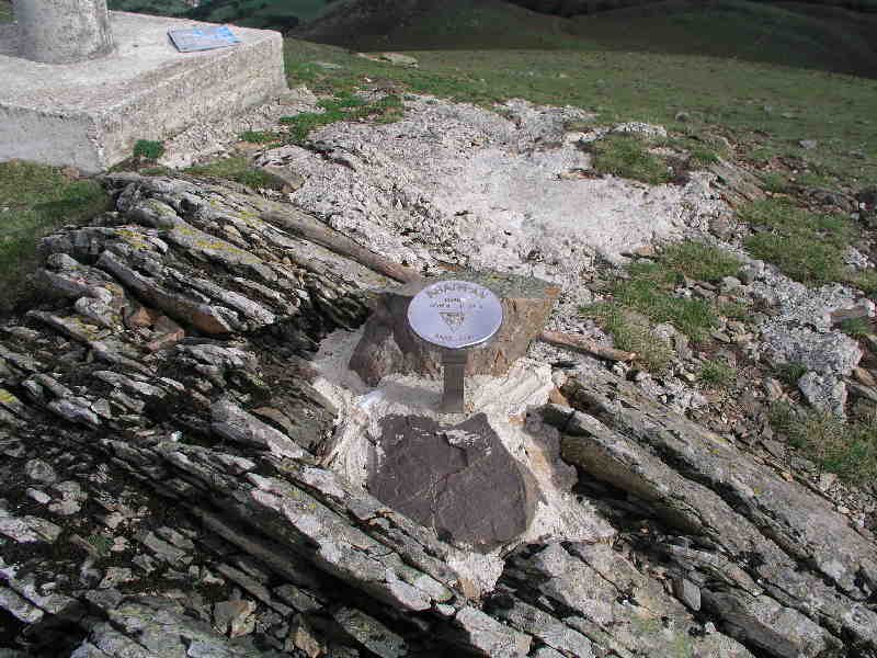 Buzoia