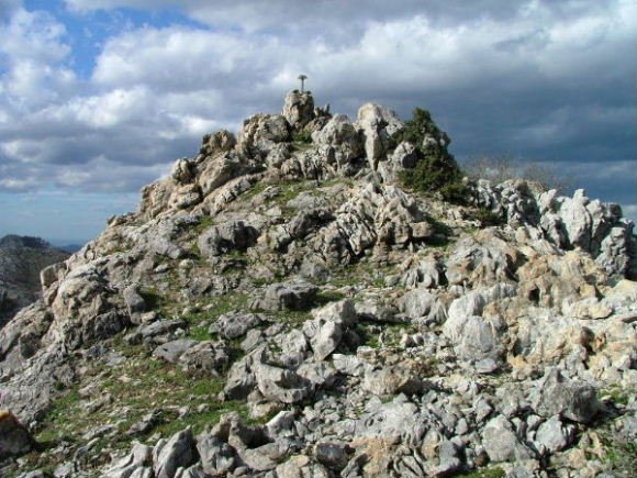 TONTORRA