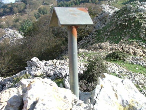 BUZOIA