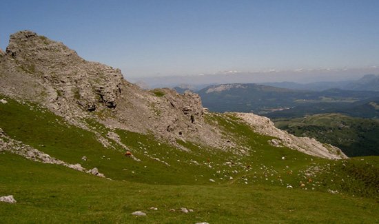 Aldamin