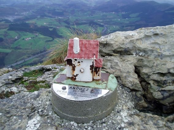 Buzoia