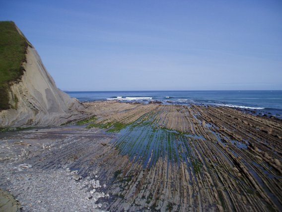Sakoneta