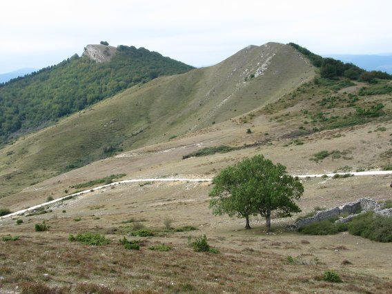 HEko tontorrak