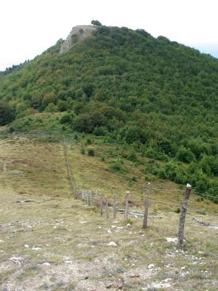 Tontor nagusia