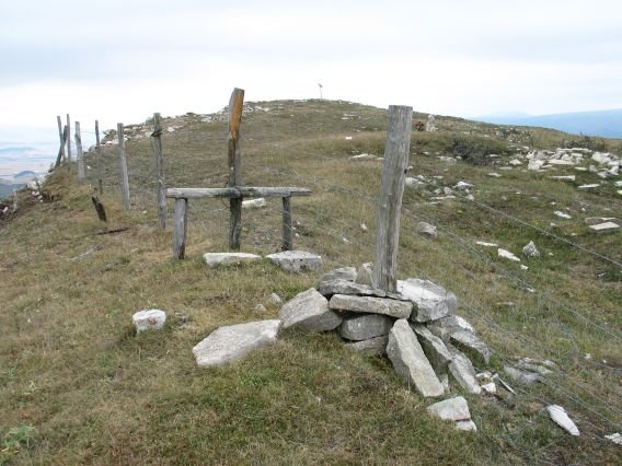Tontorra