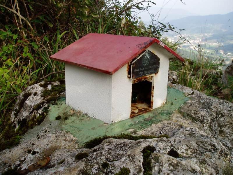 Buzoia