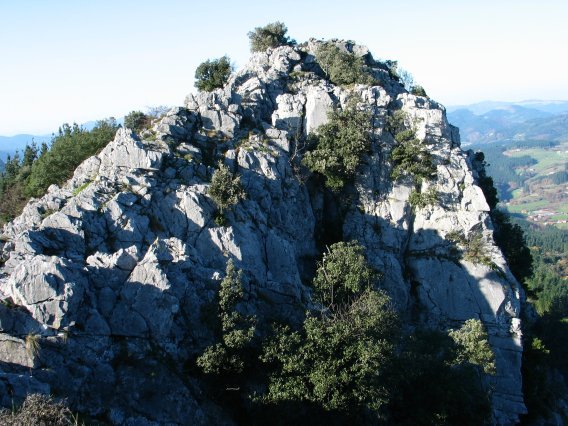 Tontorra