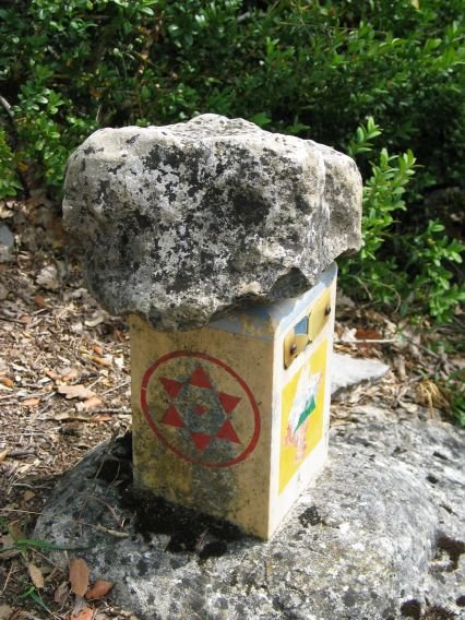 Buzoia