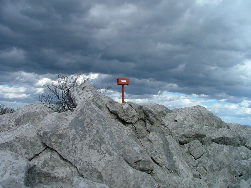 TONTORRA