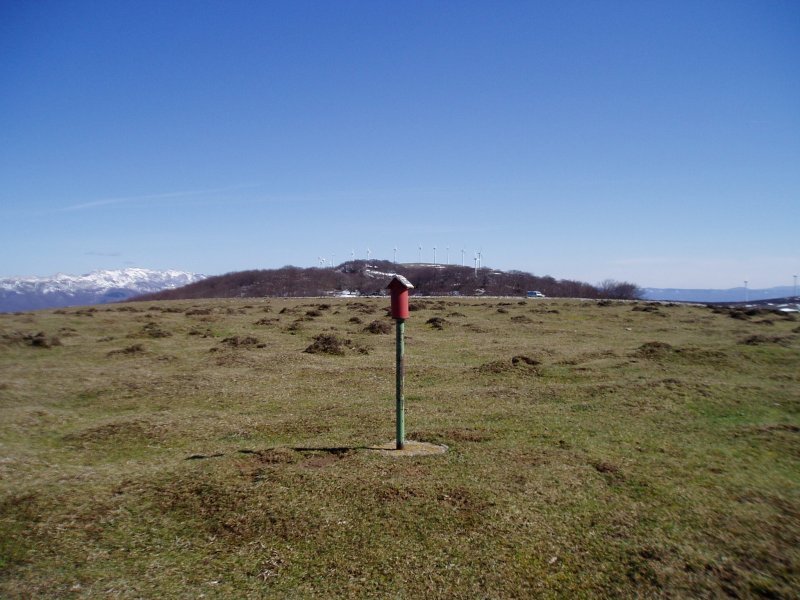Tontorra