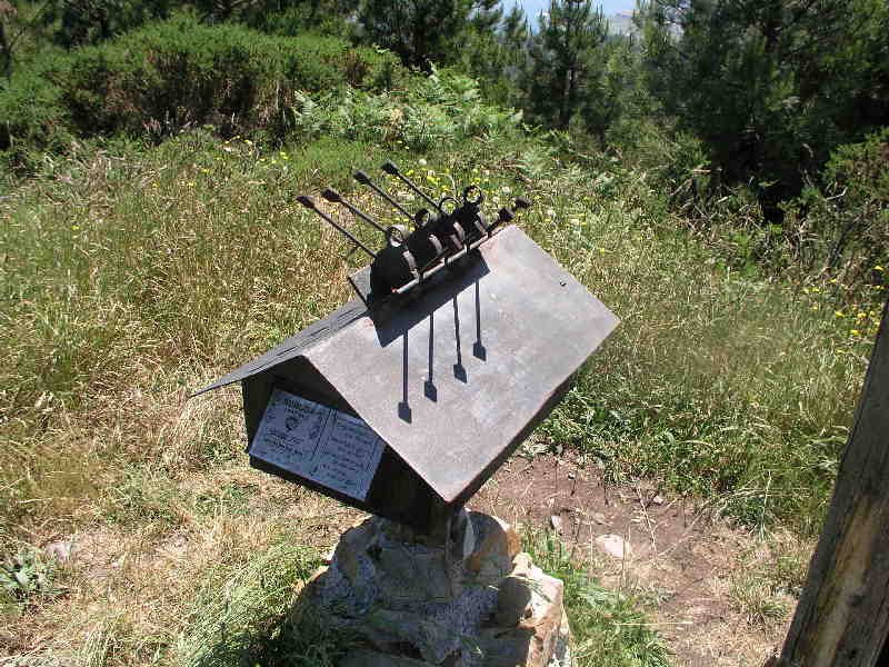 Buzoia