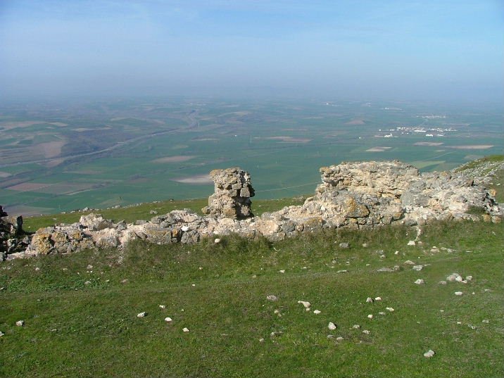TONTORRA