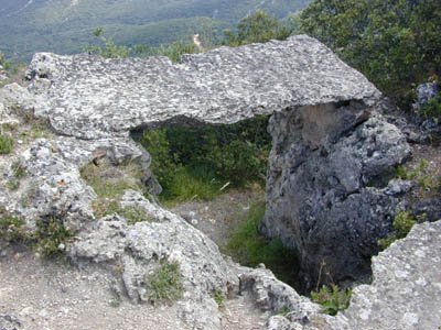 Atea tontorrean