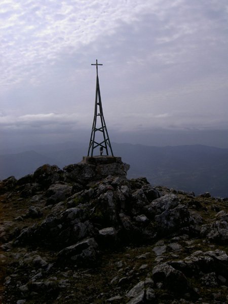 Cima