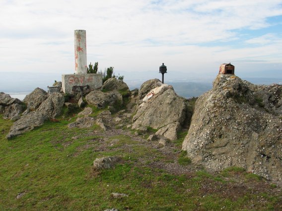 Tontorra