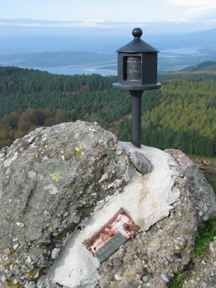 Buzoia