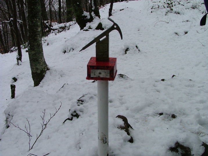 ERDELLAKO BUZOIA