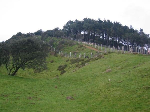 Sorginbaso
