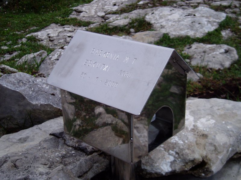 Buzoia