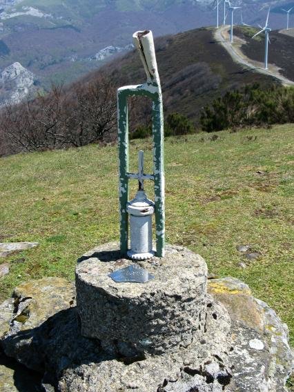 Buzoia