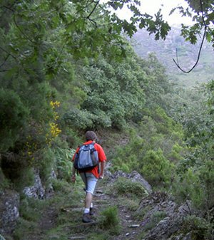 camino al Galarraga